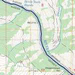 US Forest Service - Topo Devils Teeth Rapids, ID FSTopo Legacy digital map