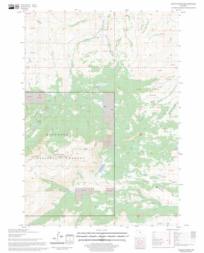 US Forest Service - Topo Devils Tooth, WY FSTopo Legacy digital map