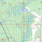 US Forest Service - Topo Dewey Lake, MN FSTopo Legacy digital map