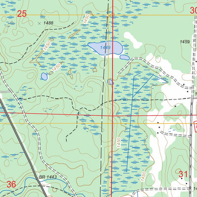 US Forest Service - Topo Dewey Lake, MN FSTopo Legacy digital map