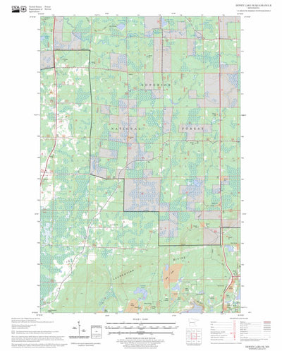 US Forest Service - Topo Dewey Lake SE, MN FSTopo Legacy digital map