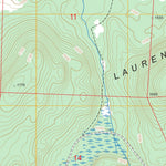 US Forest Service - Topo Dewey Lake SE, MN FSTopo Legacy digital map