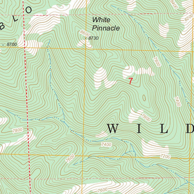 US Forest Service - Topo Diablo Range, NM FSTopo Legacy digital map