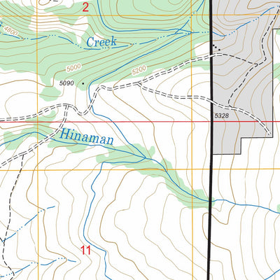 US Forest Service - Topo Diamond City, MT FSTopo Legacy digital map