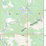 US Forest Service - Topo Diamond Lake, WA FSTopo Legacy digital map