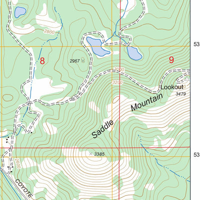 US Forest Service - Topo Diamond Lake, WA FSTopo Legacy digital map