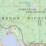US Forest Service - Topo Diamond Lake, WI FSTopo Legacy digital map