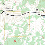 US Forest Service - Topo Diamond Mountain, CA FSTopo Legacy digital map