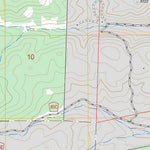 US Forest Service - Topo Diamond Peak, CO - WY FSTopo Legacy digital map