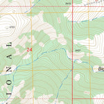 US Forest Service - Topo Diamond Peak, ID FSTopo Legacy digital map