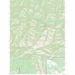 US Forest Service - Topo Diamond Peak, WA FSTopo Legacy digital map