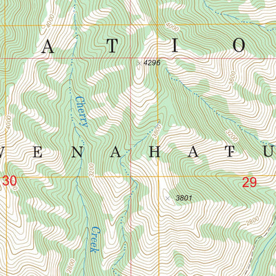 US Forest Service - Topo Diamond Peak, WA FSTopo Legacy digital map