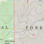US Forest Service - Topo Diamond Point, MT FSTopo Legacy digital map