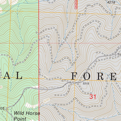 US Forest Service - Topo Diamond Point, MT FSTopo Legacy digital map