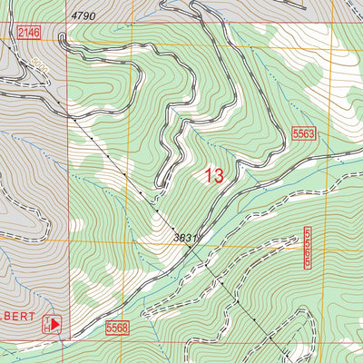 US Forest Service - Topo Diamond Point, MT FSTopo Legacy digital map