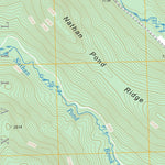 US Forest Service - Topo Diamond Pond, ME FSTopo Legacy digital map