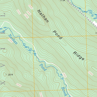 US Forest Service - Topo Diamond Pond, ME FSTopo Legacy digital map