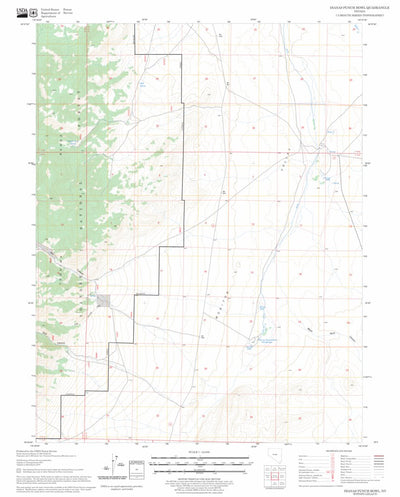 US Forest Service - Topo Dianas Punch Bowl, NV FSTopo Legacy digital map