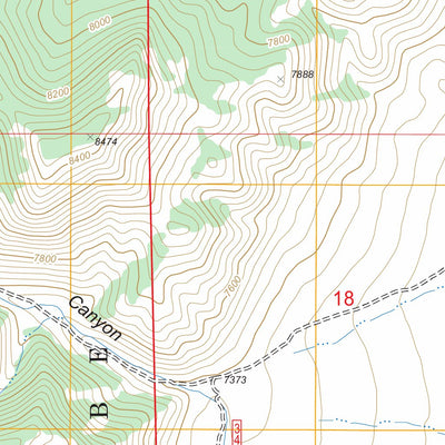 US Forest Service - Topo Dianas Punch Bowl, NV FSTopo Legacy digital map