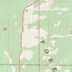 US Forest Service - Topo Dick Creek, MT - ID FSTopo Legacy digital map