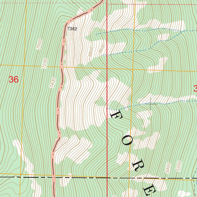 US Forest Service - Topo Dick Creek, MT - ID FSTopo Legacy digital map