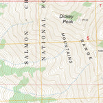 US Forest Service - Topo Dickey Peak, ID FSTopo Legacy digital map