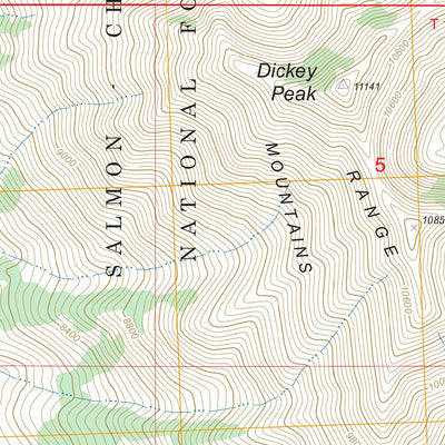 US Forest Service - Topo Dickey Peak, ID FSTopo Legacy digital map
