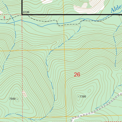 US Forest Service - Topo Dickie Hills, MT FSTopo Legacy digital map