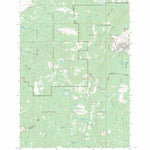US Forest Service - Topo Dickie Peak, MT FSTopo Legacy digital map