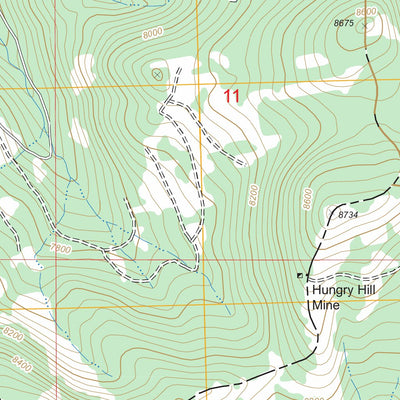 US Forest Service - Topo Dickie Peak, MT FSTopo Legacy digital map