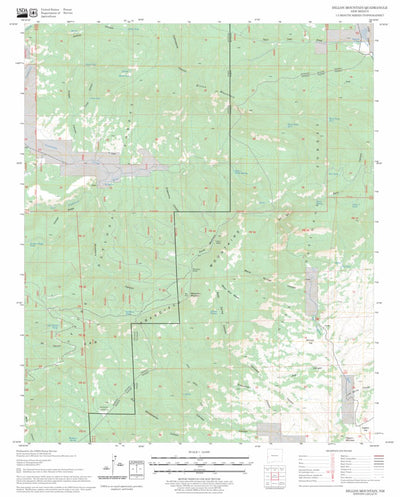 US Forest Service - Topo Dillon Mountain, NM FSTopo Legacy digital map