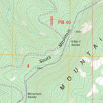 US Forest Service - Topo Dillon Mountain, NM FSTopo Legacy digital map