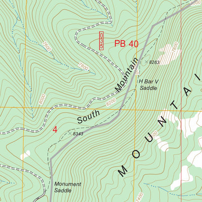 US Forest Service - Topo Dillon Mountain, NM FSTopo Legacy digital map