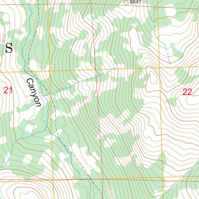 US Forest Service - Topo Disaster Peak, CA FSTopo Legacy digital map