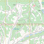 US Forest Service - Topo Divide, CO FSTopo Legacy digital map