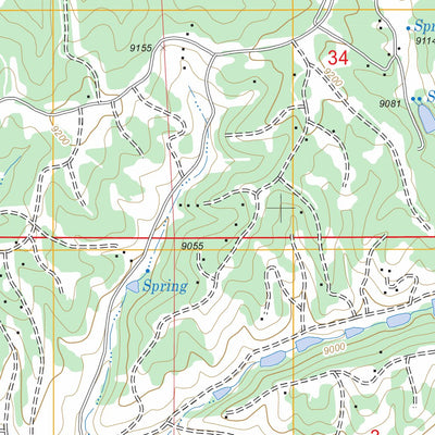 US Forest Service - Topo Divide, CO FSTopo Legacy digital map