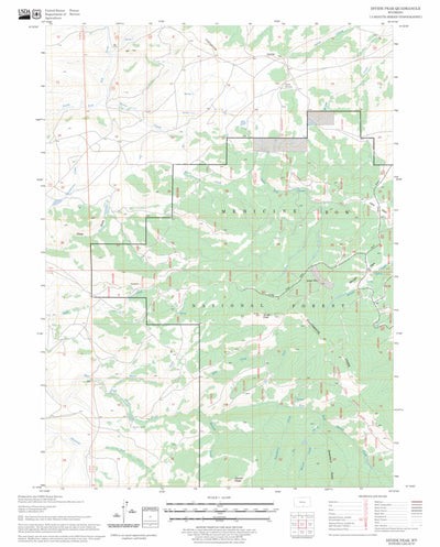 US Forest Service - Topo Divide Peak, WY FSTopo Legacy digital map