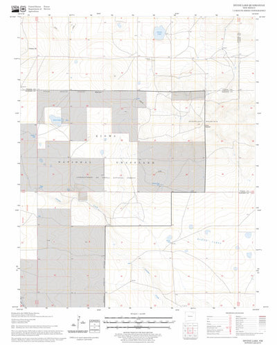 US Forest Service - Topo Divine Lake, NM FSTopo Legacy digital map