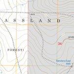 US Forest Service - Topo Divine Lake, NM FSTopo Legacy digital map