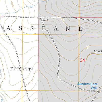 US Forest Service - Topo Divine Lake, NM FSTopo Legacy digital map