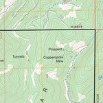 US Forest Service - Topo Dixie Meadows, OR FSTopo Legacy digital map