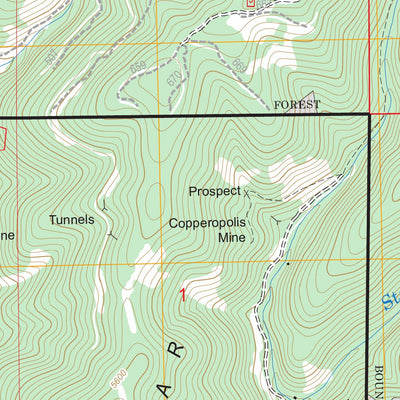 US Forest Service - Topo Dixie Meadows, OR FSTopo Legacy digital map