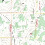 US Forest Service - Topo Dixie Peak, CA FSTopo Legacy digital map