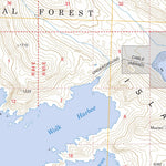 US Forest Service - Topo Dixon Entrance C-3, AK FSTopo Legacy digital map