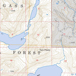 US Forest Service - Topo Dixon Entrance D-4, AK FSTopo Legacy digital map