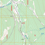 US Forest Service - Topo Dodge Peak, ID FSTopo Legacy digital map