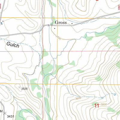 US Forest Service - Topo Dodson Pass, ID FSTopo Legacy digital map