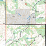 US Forest Service - Topo Dodson Pass, ID FSTopo Legacy digital map