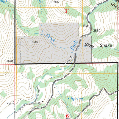 US Forest Service - Topo Dodson Pass, ID FSTopo Legacy digital map