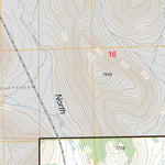 US Forest Service - Topo Dog Springs, NM FSTopo Legacy digital map